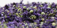 خواص گیاه داروی پنیرک و طریقه مصرف آن