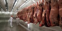 فعالیت دو اکیپ ثابت و سیار "دامپزشکی" در روزهای تاسوعا و عاشورا حسینی در سطح شهرستان خرمشهر