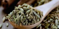 خواص رازیانه برای انواع بیماری ها