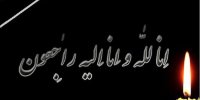 ستاره‌ی سابق تیم ملی به سوگ نشست؛ پیام تسلیت باشگاه استقلال