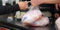 پرواز(( مرغِ ایرانی)) بر فراز اقتصاد ایران