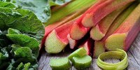 ریواس؛ گیاهی موثر برای سلامت دستگاه گوارش
