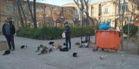 روایتی خواندنی از مرد تبریزی که بیش از ۲۲ سال به گربه های تبریز غذا می‌دهد