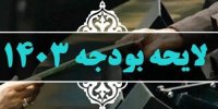 رویکرد کلی مجلس در تصویب بودجه همراهی با لایحه دولت است