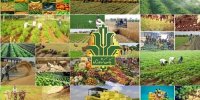 دستاوردهای متفاوت بانک کشاورزی در حوزه بانکداری کشور