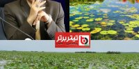 عامل اصلی مرگ تالاب انزلی مدیران بی برنامه محیط زیست و برخی کارشناسان هستند