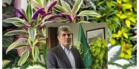 از صادرات ۹ محموله گیاهان زینتی خبر داد و گفت: چابکسر پایتخت درختچه زینتی کشور است.