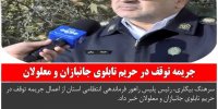 دستگیری مامورنماهای خفت گیر