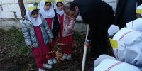 تولید بیش از ۶ میلیون نهال طی ۲ سال در غرب مازندران