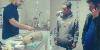نجات روباه بیمار با کمک دهیار روستای دولت آباد و دوستدارحیات وحش در مرند