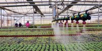 نوفن؛ مسیر انتقال فناوری به روستا/سرمایه گذاری؛ الگوی انتقال فناوری به کسب و کارهای حوزه کشاورزی و صنایع غذایی و تبدیلی