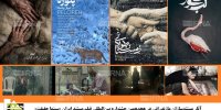 5  اثر مستندسازان مازندران در هجدهمین جشنواره بین‌المللی سینما