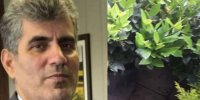 ارسال محموله صادراتی درخت و درختچه زینتی رودسر به جمهوری آذربایجان