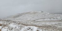 مصائب برف یک متری در مازندران