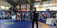 مسابقات انتخابى قهرمانی کشتی چهار رده سنى پهلوانک، خردسال، نونهال و نوجوان در منطقه پنج شهرداری تهران برگزار شد
