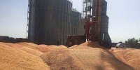 ضرورت ساخت مخازن روغن خام در محوطه سیلوی نکا