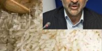 دولت برنج پرمحصول را با قیمت تعیین شده خرید تضمینی خواهد کرد