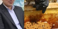 افزایش ۲۱ درصدی تولید عسل در گیلان با کاهش مصرف شکر