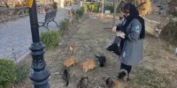 بهشت رویایی پشمالوها در تبریز