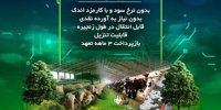طرح «نوی پو» بانک کشاورزی؛ تلاشی برای تأمین سرمایه در گردش، بدون دامن زدن به تورم