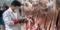 نقش دامپزشکی در امنیت غذایی و سلامت عمومی راهبردی است