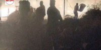 نجات ۲۰۰ راس گوسفند از شعله های سوزان آتش توسط آتش نشانان حامی حیوانات  مرندی