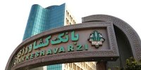 افزایش سرمایه بانک کشاورزی، اقدامی حیاتی برای توسعه پایدار بخش کشاورزی