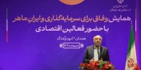 برنامه جدید در توسعه صنایع گیاهان دارویی و پوشاک