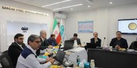 فولاد سنگان، الگوی ساخت صنعت شهر کارکنان