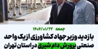 صنعت دامداری ایران در میان پنج کشور برتر دنیا قرار دارد/ تاکید رئیس‌جمهور بر اولویت تامین انرژی بخش کشاورزی 