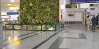 چکیده‌ای از طبیعت در دل فضاهای شهری؛ روایت ۳۴ سال فعالیت مجموعه فضای دلنشین