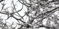 برفی شدن 50 روستای لاریجان مازندران