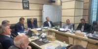 هوشمندسازی نظارت بر فرآیند تولید و عرضه برنج/ واردات نباید به برنج‌کاران آسیب بزند