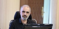 هشدار درباره خشک شدن چنارهای کهنسال موسسه رازی و علوم دامی!