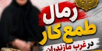رمال طمع‌کار» در غرب مازندران به دام افتاد