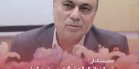 محمد بیگدلی: تمرکز بانک گردشگری بر رشد کیفی و توسعه متوازن خدمات بانکی است