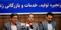 زربرج با تکمیل زنجیره ارزش، توسعه علمی و فناوری، آینده زعفران ایران را ترسیم می‌کند