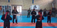 در دیداری با هیئت کونگ‌فو توآ سنتی؛ ستایش انضباط و آمادگی جسمانی توسط فرمانده سپاه نطنز