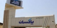 چگونه پاکسان در میانه رکود مصرف، به بازیگر باثبات صنعت شوینده تبدیل شد؟