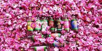 اثر گلاب در درمان بیماری ها