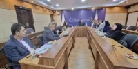 ۶۵ درصد درآمدهای عمومی البرز تا پایان تیرماه محقق شد