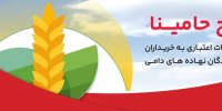 "حامینا" محصول جدید بانک ملت برای تامین مالی نهاده های دامی