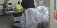 آماده باش شبکه آزمایشگاه های بهداشتی کشور در تعطیلات نوروزی
