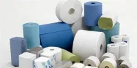 مصرف زیاد دستمال کاغذی از سوی آمریکاییها جنگل های کانادا را نابود می کند