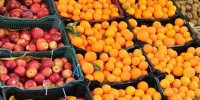 توزیع ۷۰ هزار تن سیب و پرتقال در ایام عید