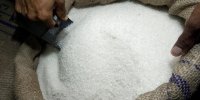انتقال عمده برداشت نیشکر به سال ۹۸/دولت در نرخ تجدیدنظر کند
