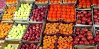 جزئیات قیمت انواع میوه و صیفی در میدان مرکزی میوه و تره بار