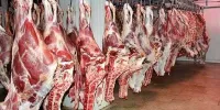 بازرسان سازمان دامپزشکی بر گوشت‌های وارداتی نظارت کامل دارند