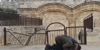 مخالفت اوقاف فلسطین با بستن باب الرحمه از سوی صهیونیستها