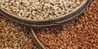 دستگیری محتکر میلیاردی آجیل شب عید در ساری